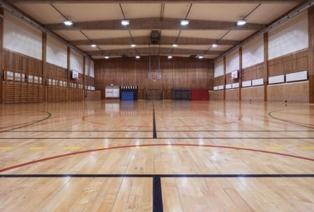 Jouer en &eacute;quipe nationale de handball &agrave; Strasbourg, comment les joueurs progressent vers ce niveau